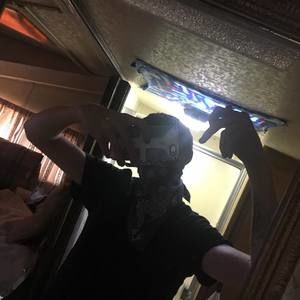 Meet your Posher, Wyatt